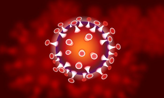 Koronavirus