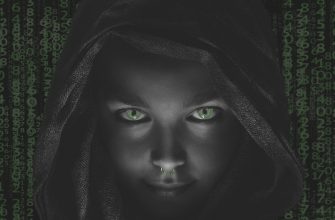 02_darknet
