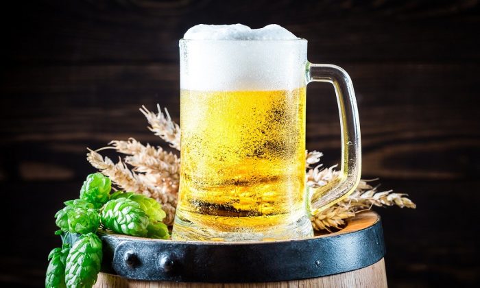Pivo