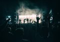 koncert
