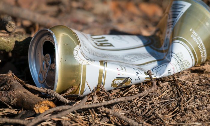 pivo
