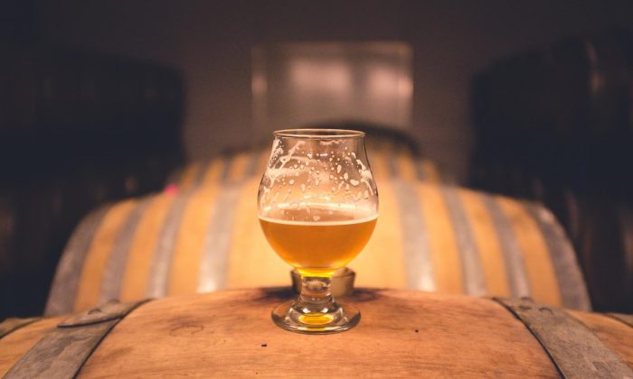 Pivo