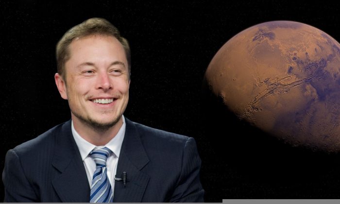 Elon Musk