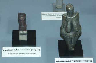 Venuše