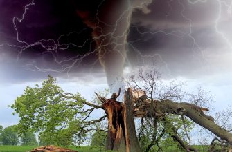 tornado