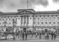 Buckingham palace