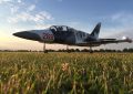 albatros