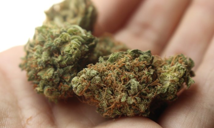 marihuana