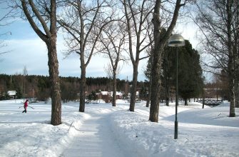 Sníh