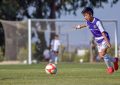 fotbal