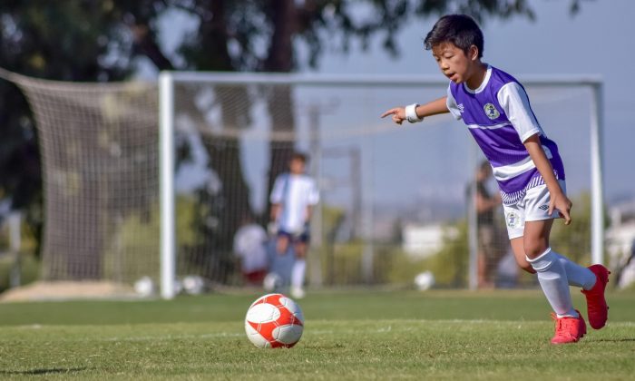 fotbal