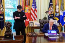 Musk a Trump