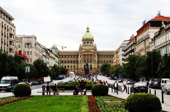Muzeum