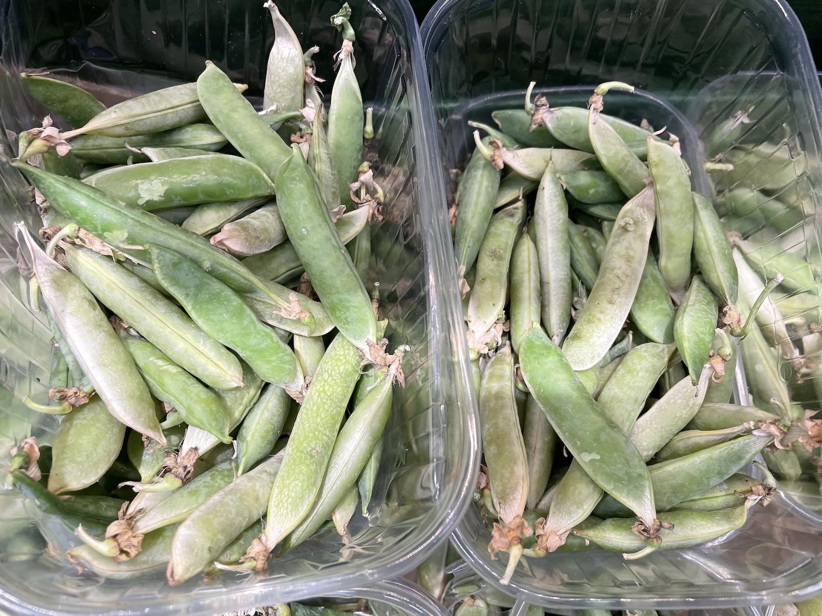 Ani zadarmo. Suché hrachové lusky v Lidlu nebrat