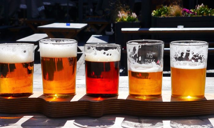 pivo