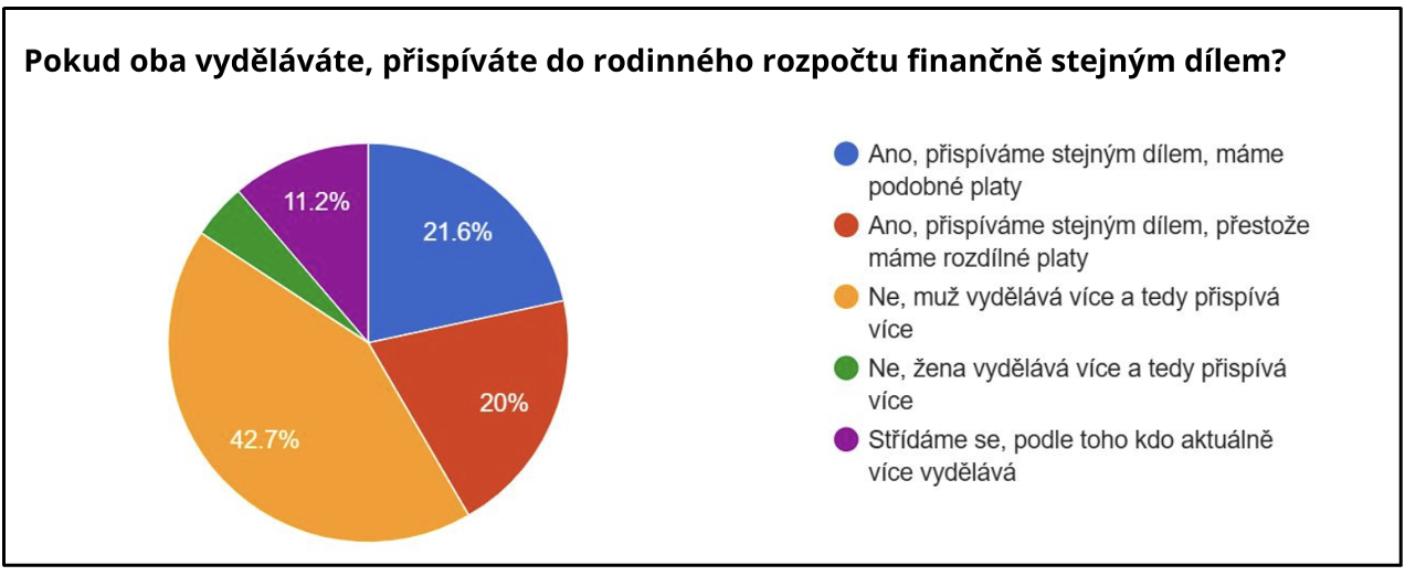 Rozpočet rodiny