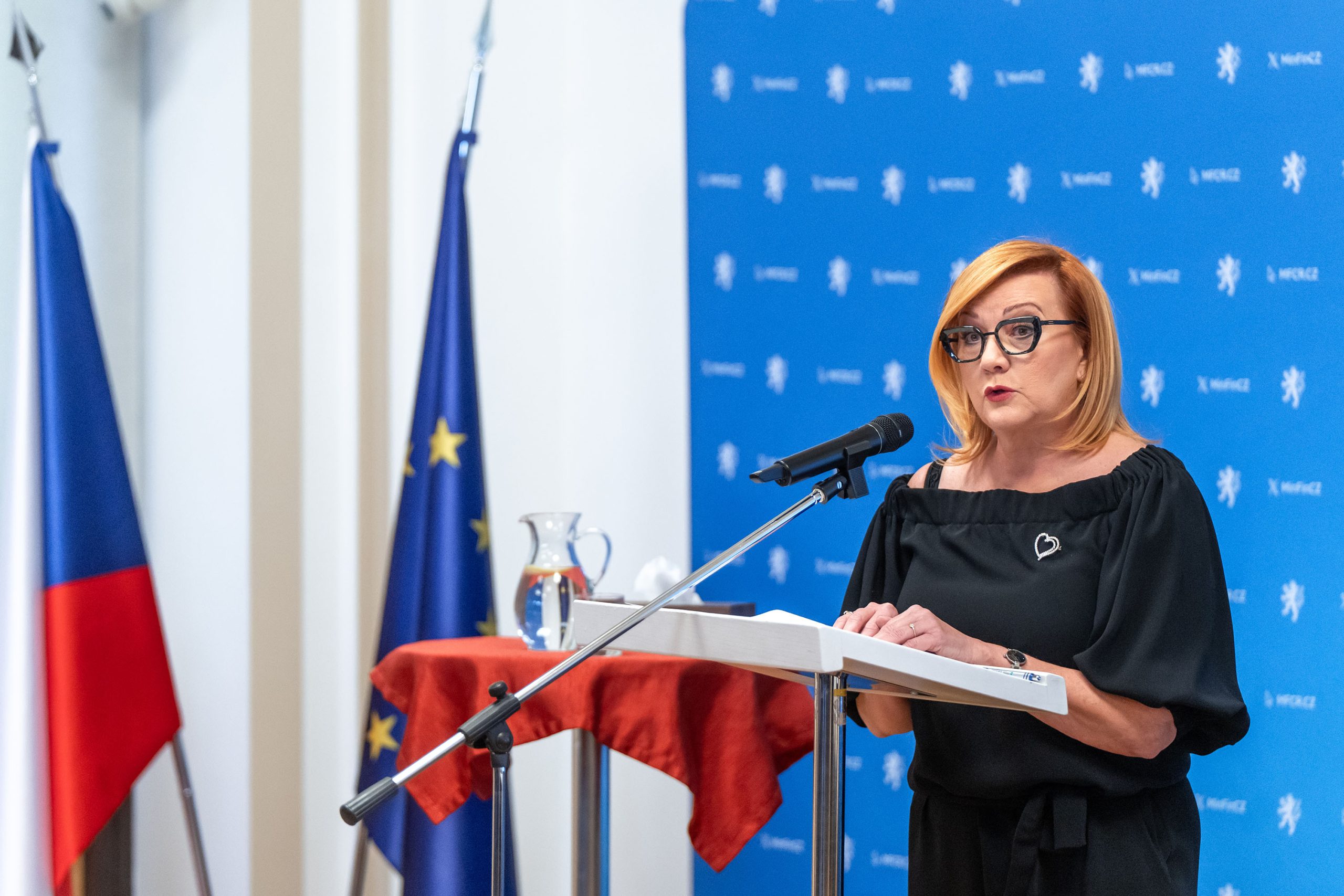 Alena Schillerová | Epeníze Alena Schillerová