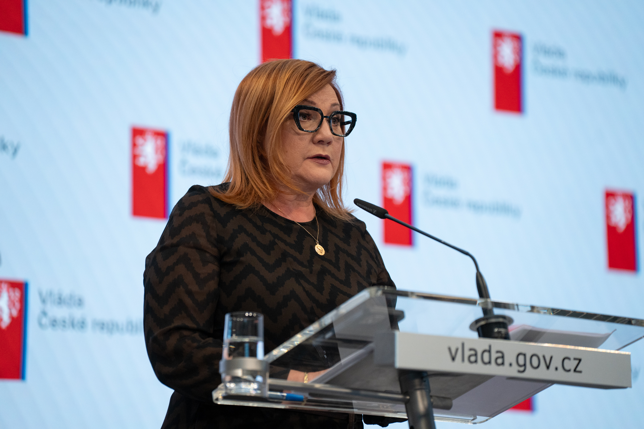 Alena Schillerová | Epeníze Alena Schillerová