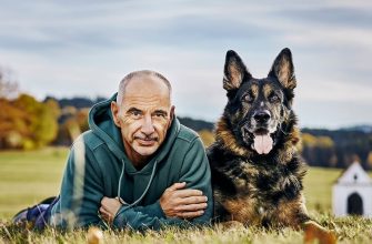 Older man in a teal hoodie lying on grass beside a German Shepherd in a sunlit field with autumn trees in the background.